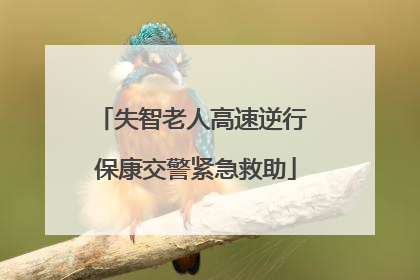 失智老人高速逆行 保康交警紧急救助